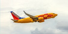 Southwest Airlines New Mexico One Boeing 737-7H4 10" x 20" Photograph (APPM10019