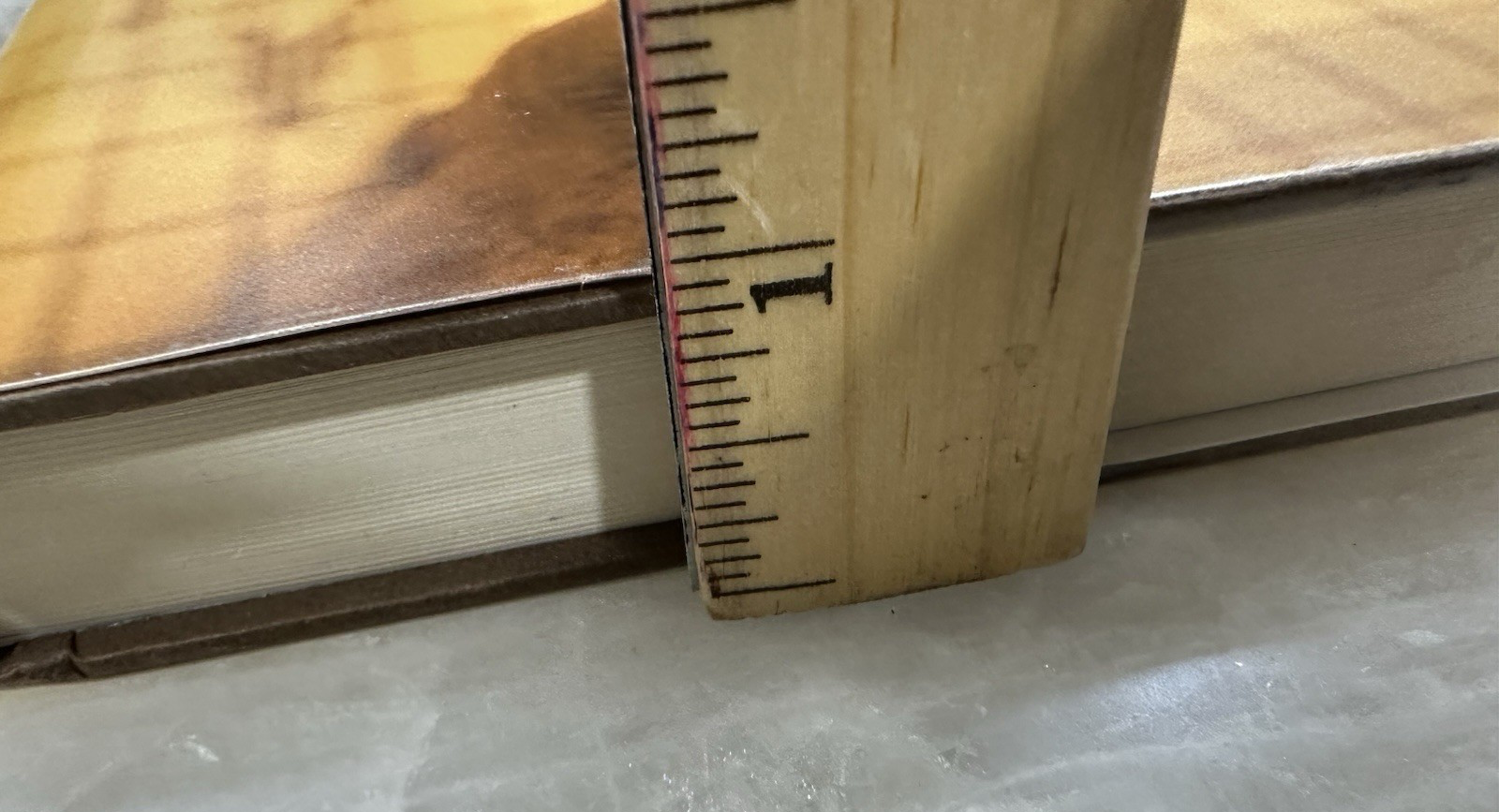 Picture 18 of 18