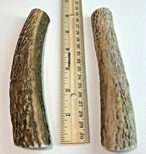TWO PACK-MEDIUM Premium Grade A Organic Split Elk Antler Dog Chews-Treats-Crafts