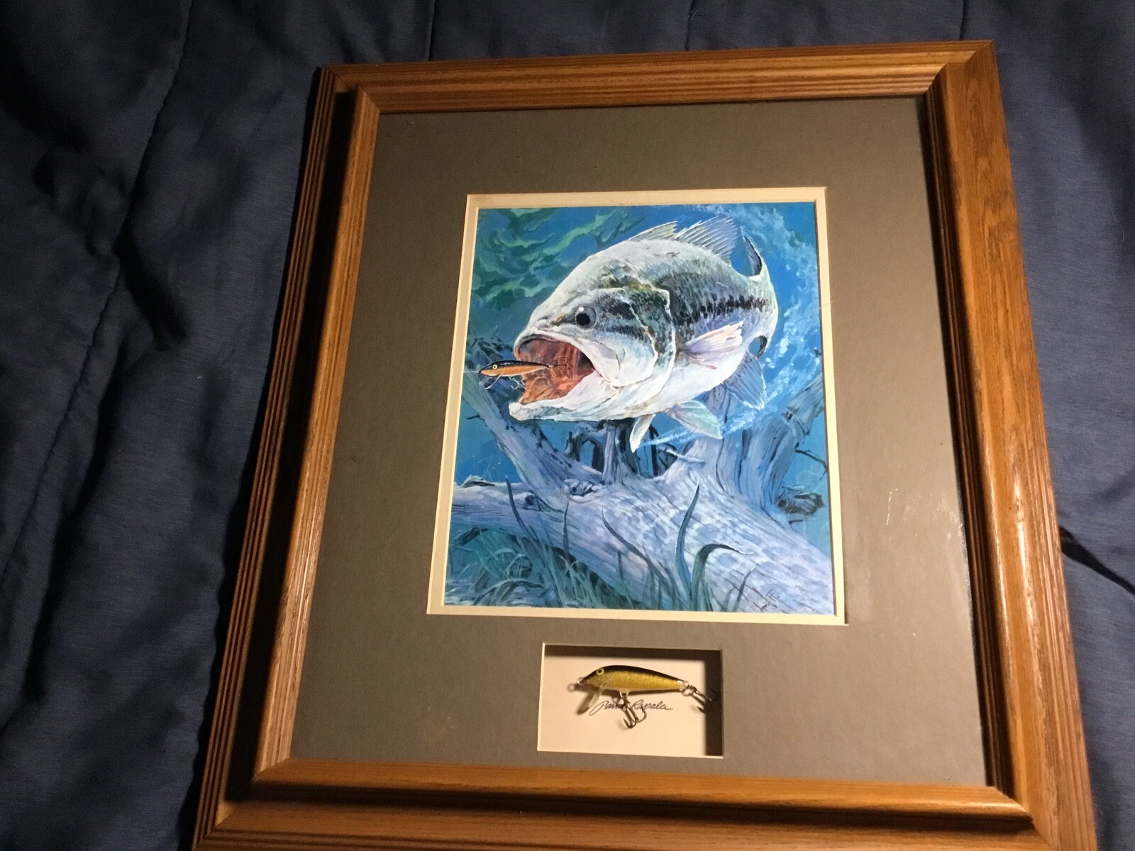 Rapala Largemouth Bass Lithograph Print With Lure Framed Art eBay