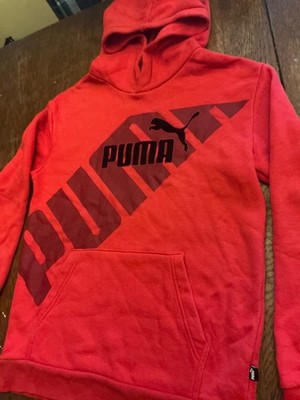 PUMA Y2K LARGE PULLOVER HOODIE