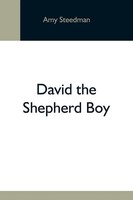 David The Shepherd Boy Amy Steedman Taschenbuch Kartoniert / Broschiert Englisch