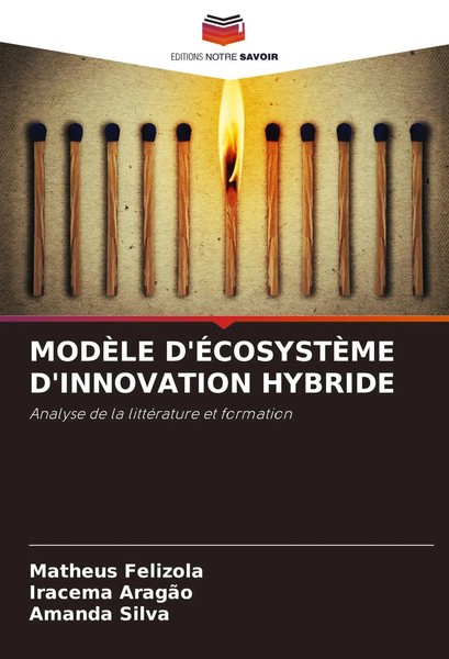 ModÈLe D'ÉCosystÈMe D'innovation Hybride Analyse De La LittéRature Et Formation-image