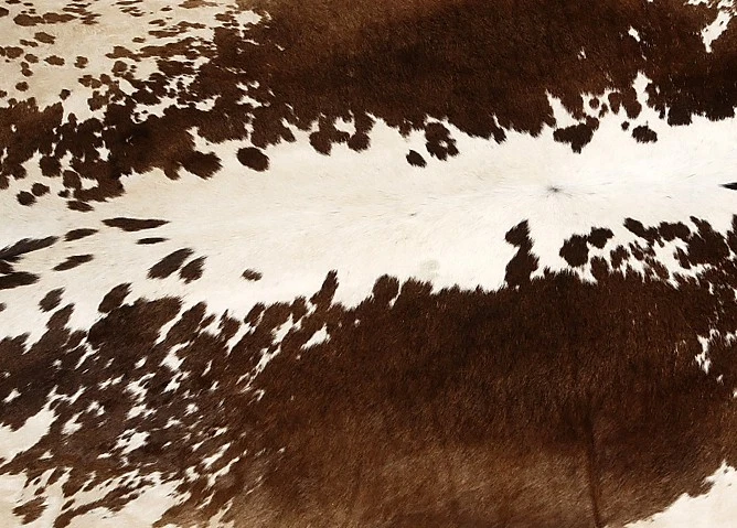 100% Original Kuhfell Teppich Bereich Skin Leder 21.00 Sq.feet (142cmx137cm) - Bild 2 von 3