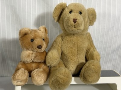 One Build-A-Bear 13  Long Stuffed Animal Toy & One 8  Long Small Hugging Bear