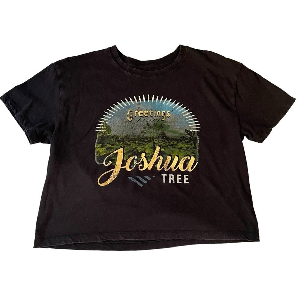 The Joshua Tree Tour Tシャツ Amazon.com: U2 T Shirt Joshua Tree Logo 2017 European Tour