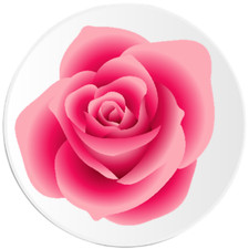 Pink Rose - 3 Pack Circle Stickers 3 Inch - Pretty Flower Floral