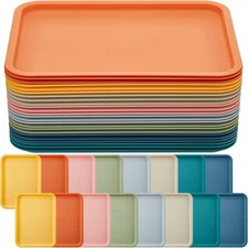 Plastic Fast Food Tray Elegant Color, 24pcs