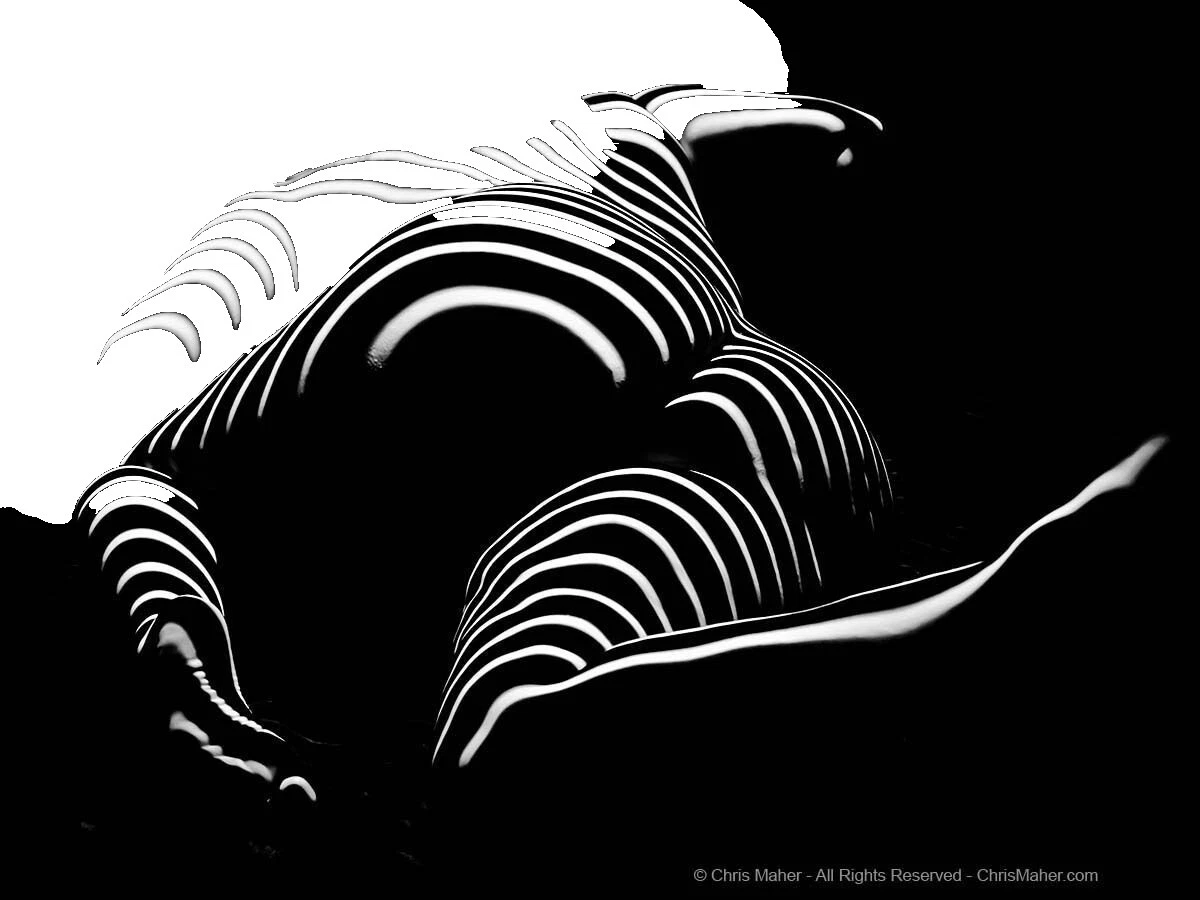 Nudes Abstract Art Photographs