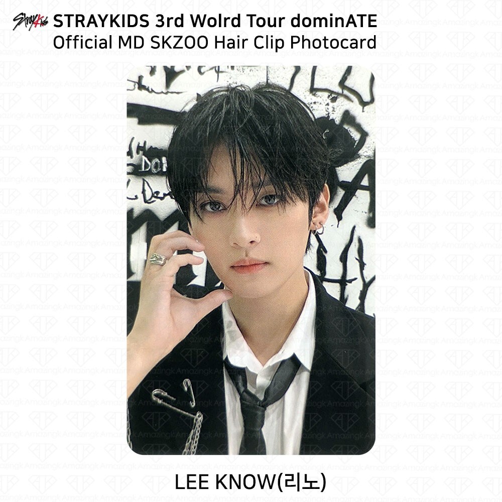 Stray Kids 3rd World Tour dominATE Official MD SKZOO Hair Clip