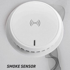 10 Year Life Carbon Monoxide CO Detector AA Battery Alarm WIFI Tuya Smoke Sensor