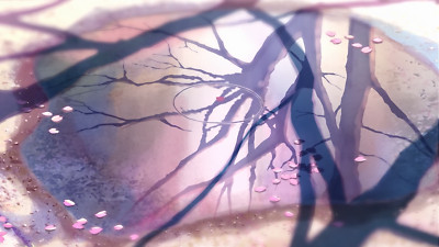 Anime 5 centimeters per second reflection makoto Playmat Gaming Mat Desk