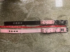 2 Blocky Dogs Dual Grip 1.5” Dog Collar Heavy Duty Nylon with Grip Handle