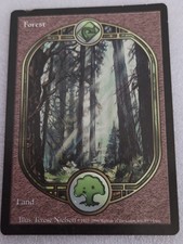 MTG Magic The Gathering Forest Rare Full Art Land Card