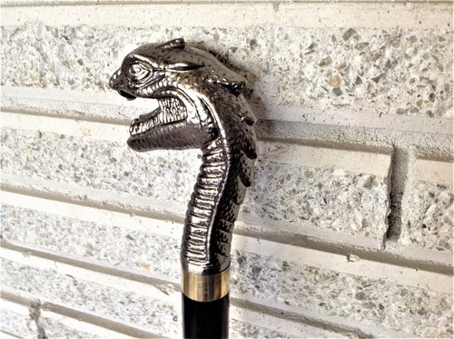 Cane Tyrannosaurus Rex King of the Dinosaurs Tyrant Lizard King Cosplay LARP - Picture 4 of 10