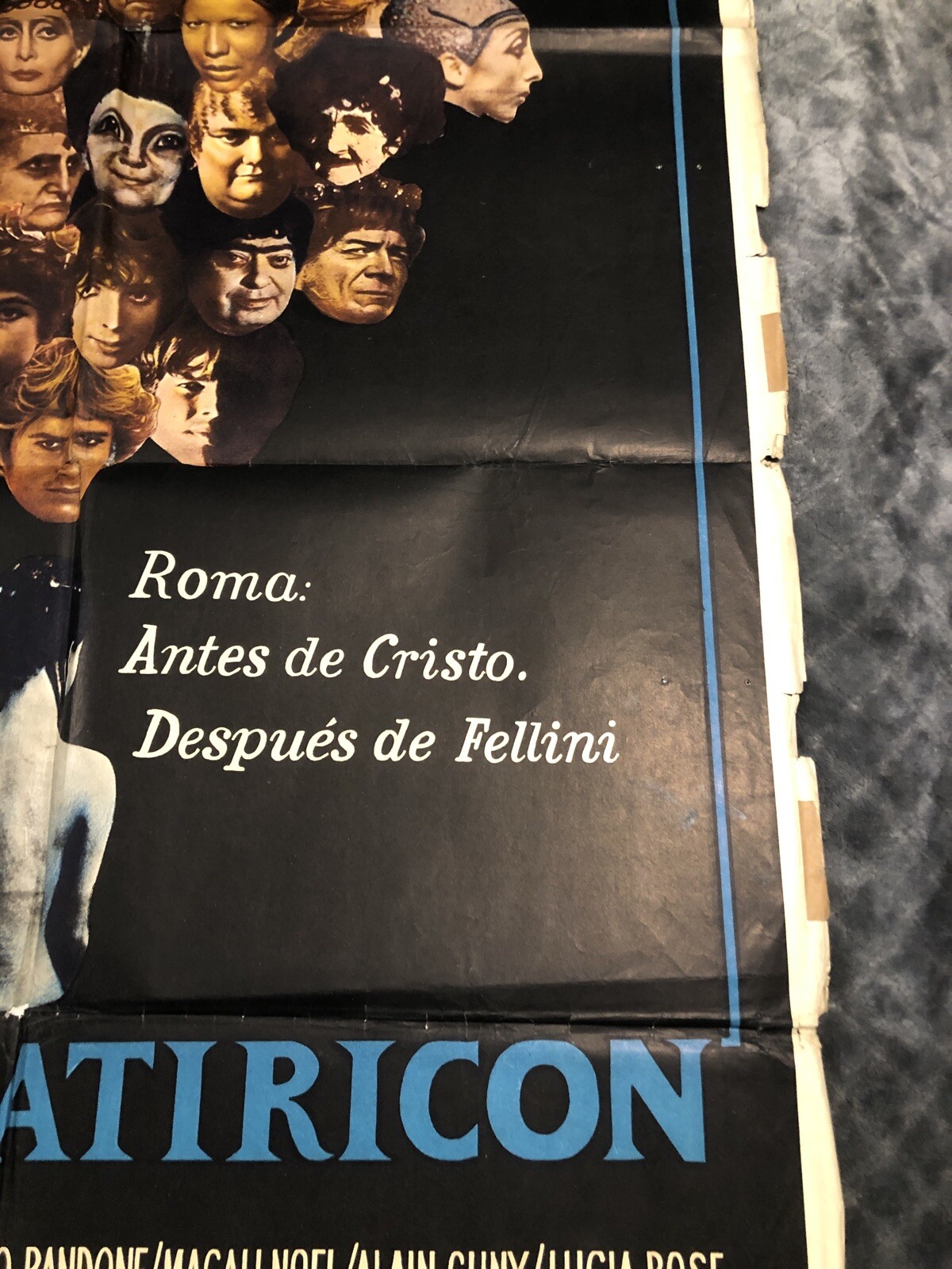 Foto 5 di 12