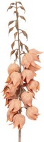 Clayre & Eef 5PL0257P Dekoration Zweig Mit Blumen Orange-Braun 12X12X100 Cm