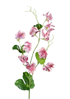 KüNstliche Wicken 60Cm Kunstpflanzen Gartenblumen Sommerdeko