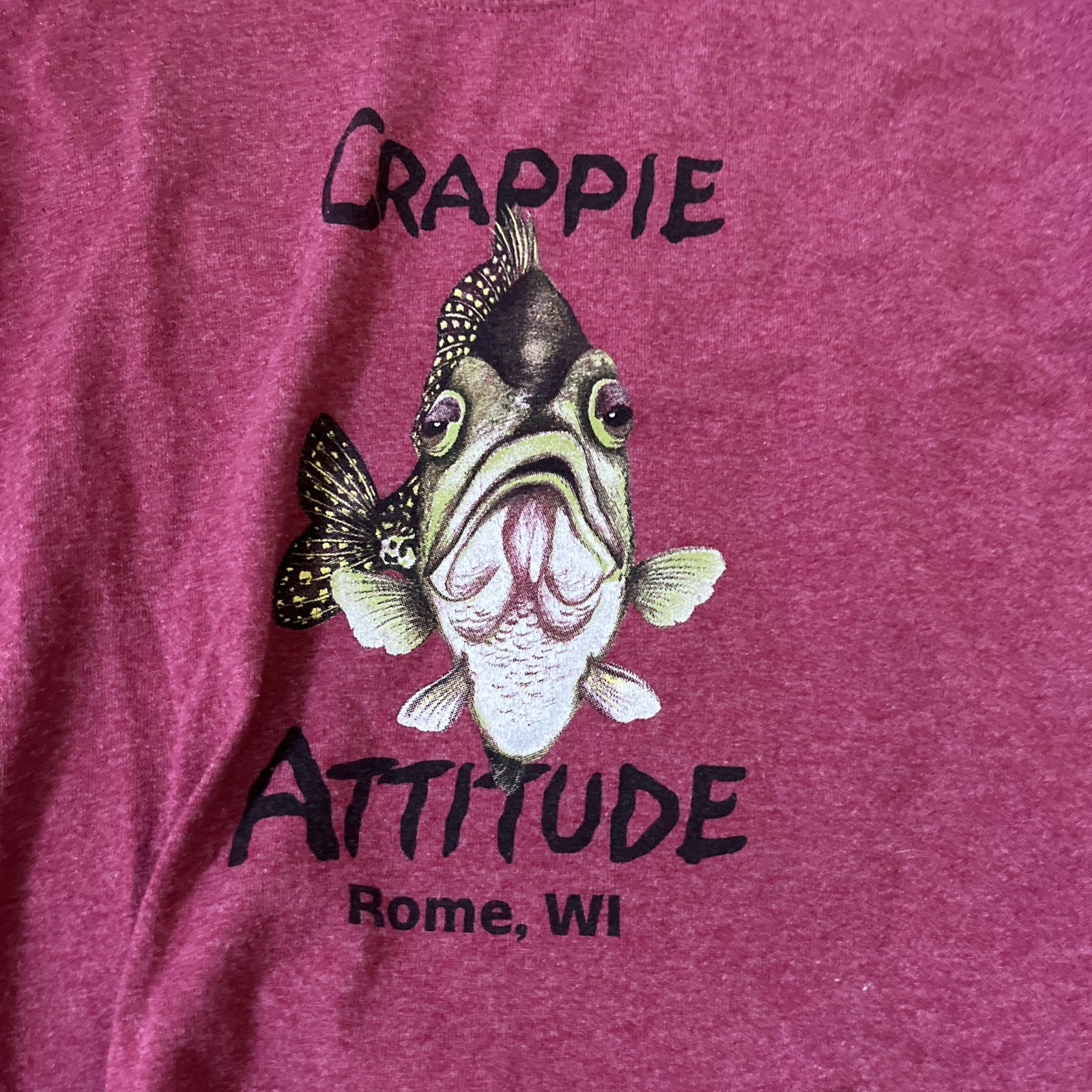 5 PACK OF WOMENS TSHIRTS, SIZE L TO XL-EXCELLANT  CONDITION