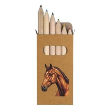 6 x 'Horse Portrait Pixel Art' Short Colour Pencils PE00062548