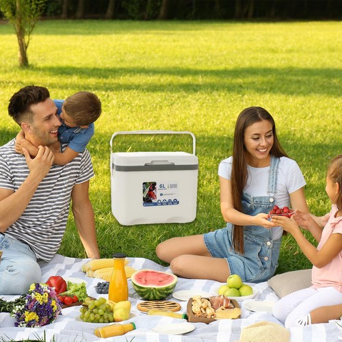6L Insulated Cooler Food & Beverage Ice Box Outdoor Sports Camping Driving Trips - Picture 3 of 15