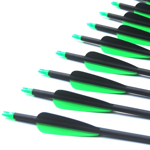 SP500 Archery Carbon Arrows Screw-in Broadheads Recurve Compound Bow Hunting - Imagen 6 de 10