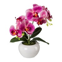 Kunstpflanze Phalenopsis (Orchidee), Farbe Fuchsia, Inkl. Keramiktopf, HöHe Ca.