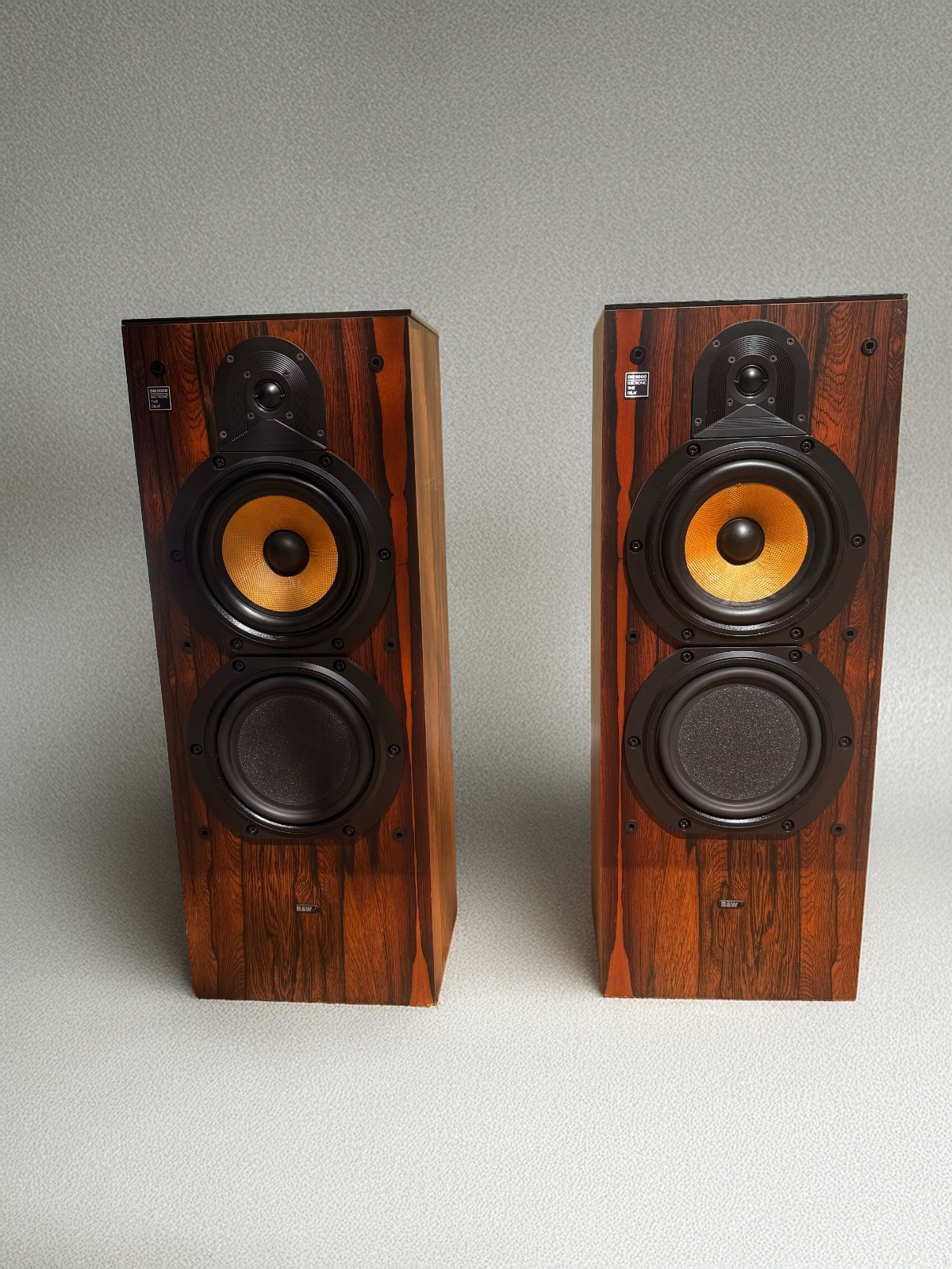 Vintage Bowers & Wilkins (B&W) Tower Stereo Speakers Model DM2000 Excellent Cond
