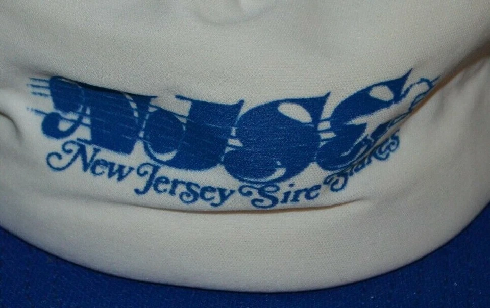 Chapéu Snapback Caminhoneiro Vintage Nova Jersey Sire Stakes Corrida de Cavalos Anos 80 Fabricado nos EUA - Imagem 2 de 4