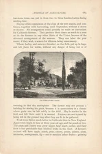 CALIFORNIA FARM HOUSE USA AMERICA AGRICULTURE  1887 ILLUSTRATION PRINT