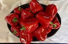 Italian Jay Wilfred Centerpiece Ceramic Platter Red Bell Peppers Andrea by Sadek — photo 1