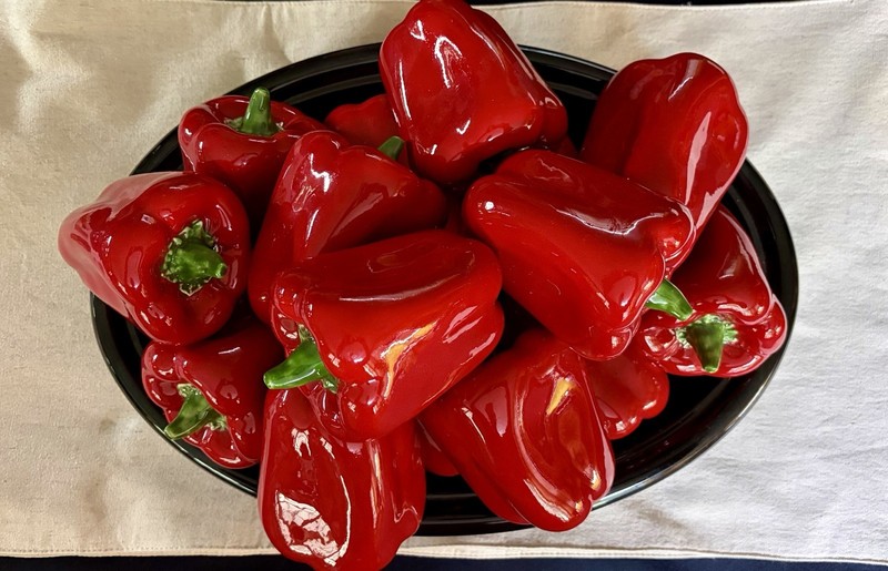 Italian Jay Wilfred Centerpiece Ceramic Platter Red Bell Peppers Andrea by Sadek