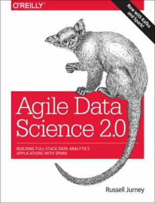 Agile Data Science 2.0: Building Full-Stack Data Analytics Applications with