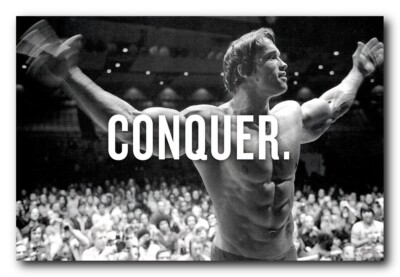 Arnold Schwarzenegger Poster 24x36 Inch Photo Rare Print Wall Art Print - AS1