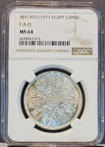 1977 EGYPT SILVER 1 POUND FAO NGC MS 64 BEAUTIFUL BU COIN