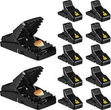 Mouse Trap, 12 Pack Mouse-Traps-Indoor-for-Home Quick Small-12Pack, Black 