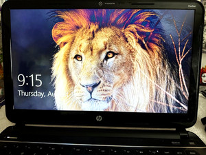 HP Pavilion Sleekbook 14-b019us C2K16UA#ABA 2nd Generation Intel Core i3-2367M