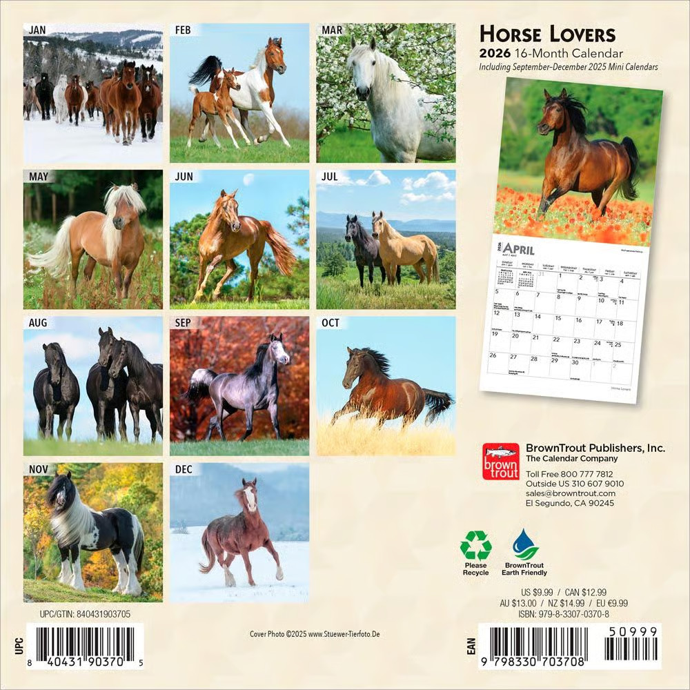 BrownTrout,  Horses 2026 Mini Wall Calendar, 7'' X 7'', 16-Month Calendar with S