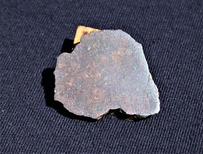 Possible LL3 Unclassified NWA meteorite part slice - 11.3 g (NICER than Photos!)