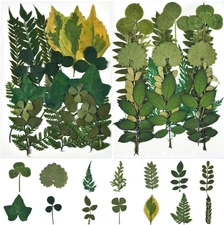 DALARAN 42 PCS Dried Flowers for Craftsl Dried Pressed Leaves Natural Leaves ...