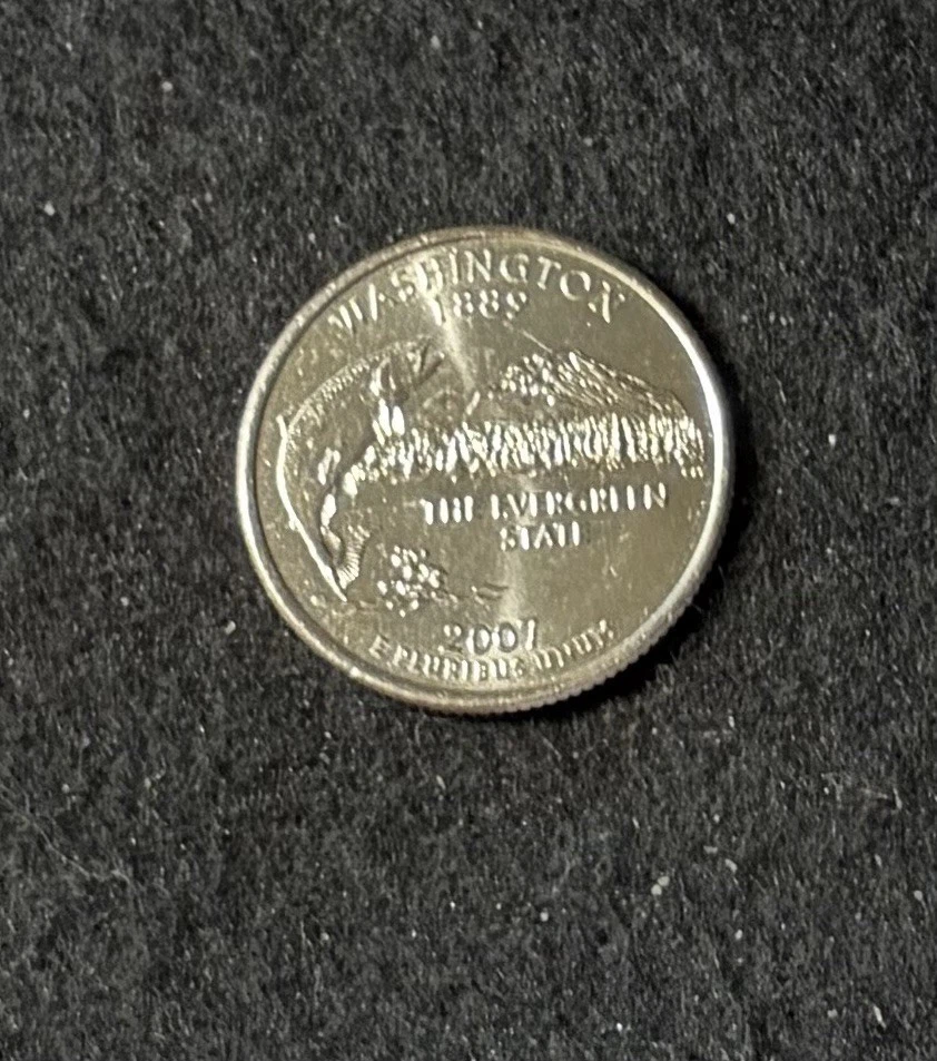 Circulated 2007 Single Coin US State Quarters (1999-2008) for sale