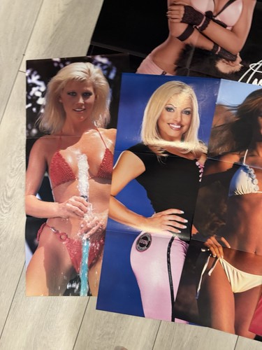 Lot of 10 WWE Divas Posters From Magazines WWF Trish Stratus Stacy Keibler Maria - Picture 6 of 8