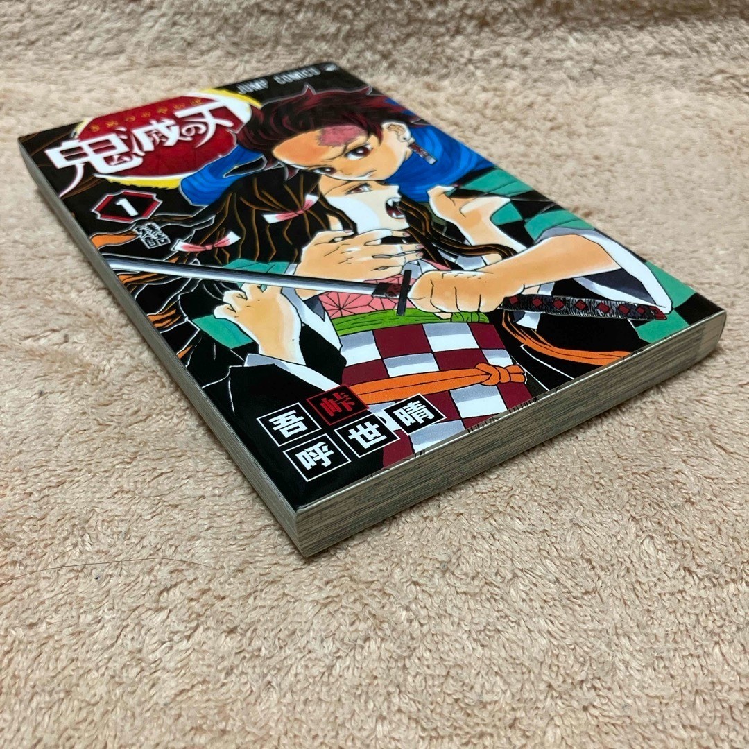 Demon Slayer Vol.1 1st Edition 1st Print Manga Comic Japanese
