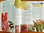Foto 5 di 12