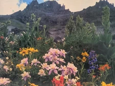 Wildflower Valley 500 Piece Puzzle Springbok PS2