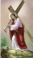 CROSS IN MY POCKET - Laminated  Holy Cards.  QUANTITY 25 CARDS