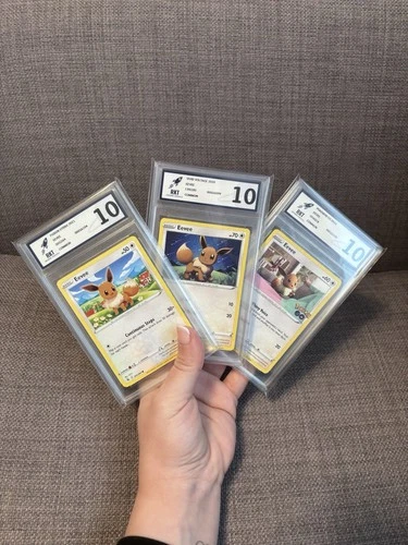 Bundle 3 Eevee Pokemon Card Slabs Bundle RKT Graded 10 Eevee