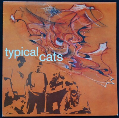 Typical Cats – Typical Cats レコード LP Typical Cats / Typical Cats 12