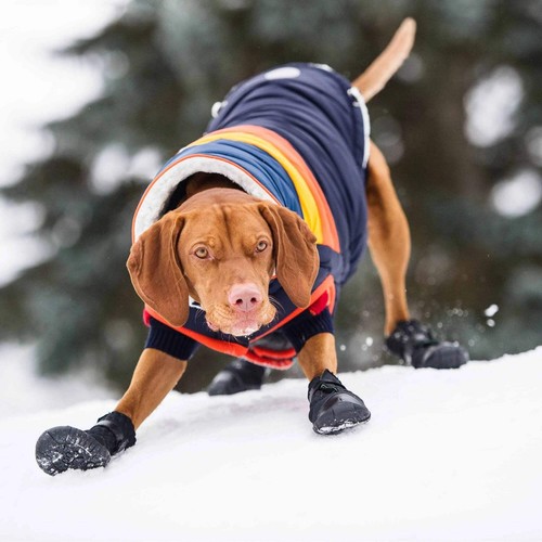 Elasto-Fit Dog Boots - Black - Picture 6 of 14