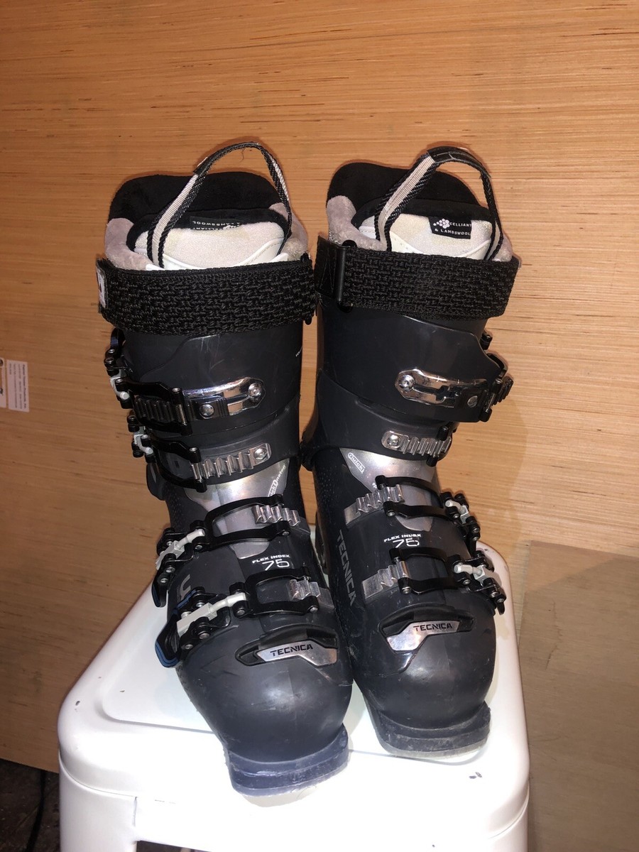 Tecnica Ski Boots 24.5 | eBay